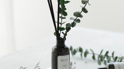 🎁 향기로운 할인! 디퓨저네이처디퓨저 솔직 후기 🌿