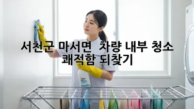 서천군 마서면 🚗 차량 내부 청소, 쾌적함 되찾기 ✨